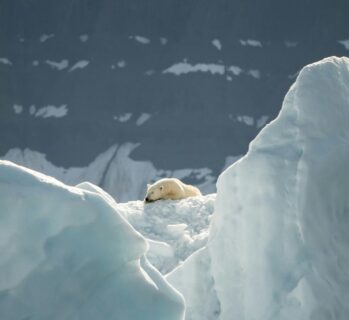 Zum Artikel "Neue Publikation: Ist der Klimawandel noch ein Fernraumthema?"